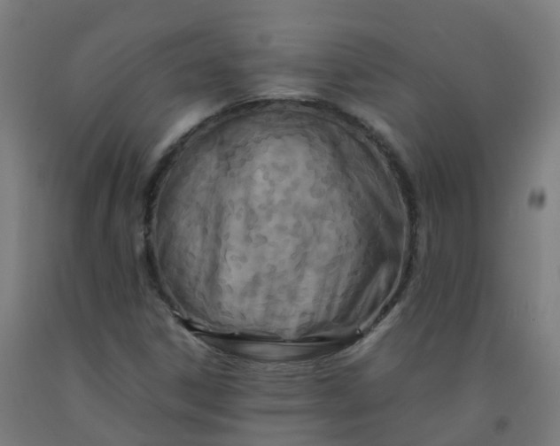 X0000092271306200709281216