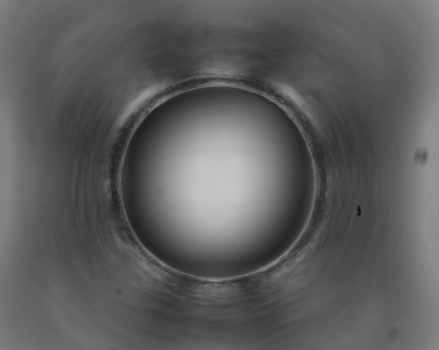 X0000092271307200709281216