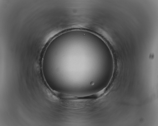 X0000092271308200709281216