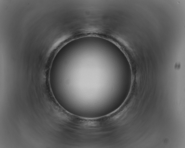 X0000092271309200709281216
