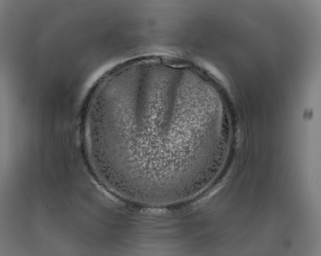 X0000092271310200709281216