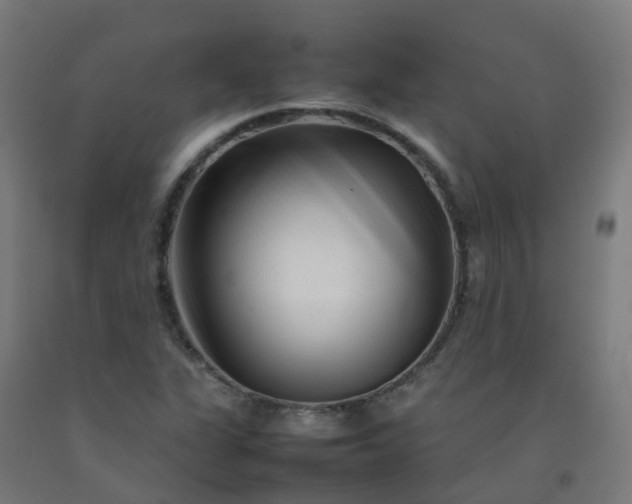 X0000092271311200709281216