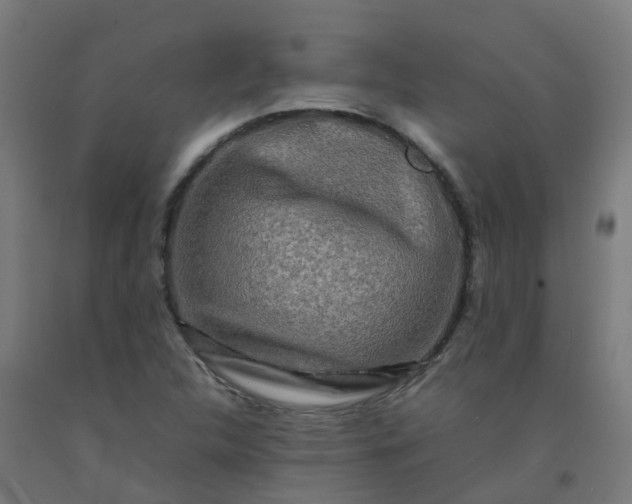 X0000092271312200709281216