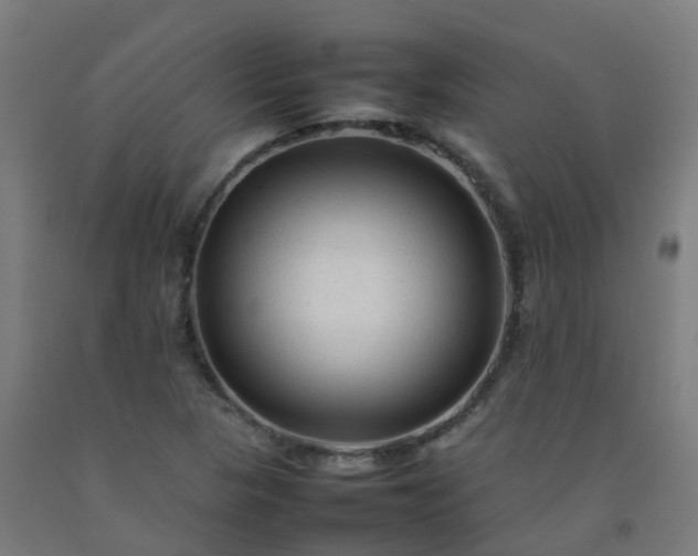 X0000092271313200709281216