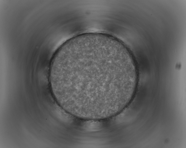 X0000092271314200709281216