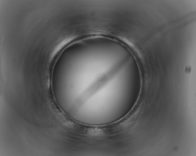X0000092271317200709281216