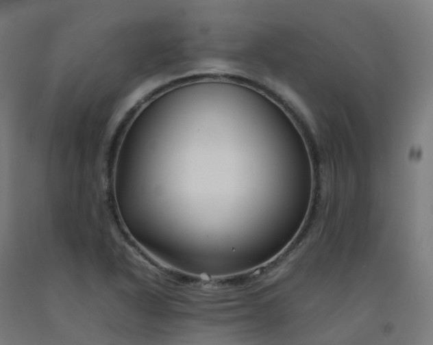 X0000092271318200709281216