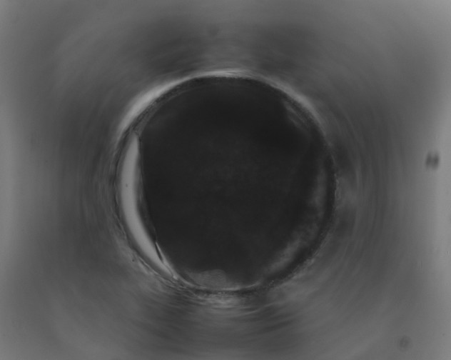 X0000092271319200709281216