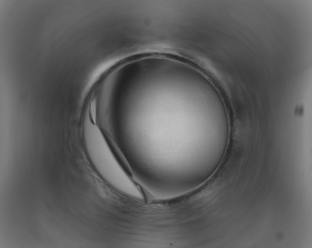 X0000092271320200709281216