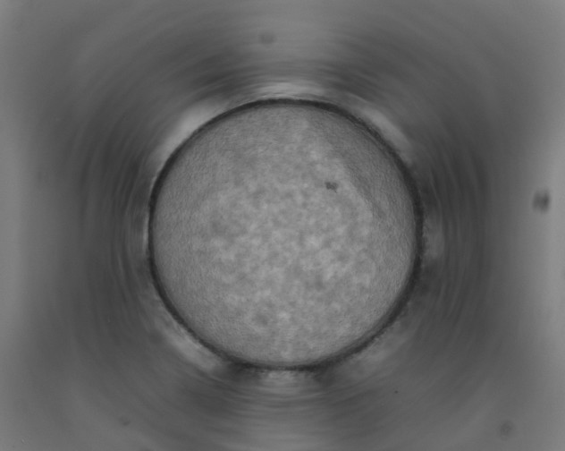 X0000092271322200709281216