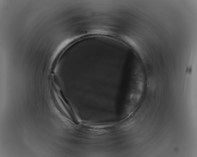X0000092271323200709281216