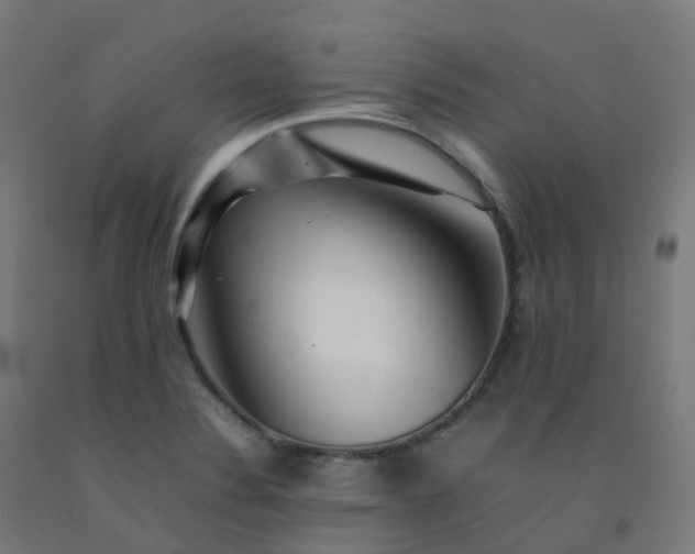 X0000092271324200709281216