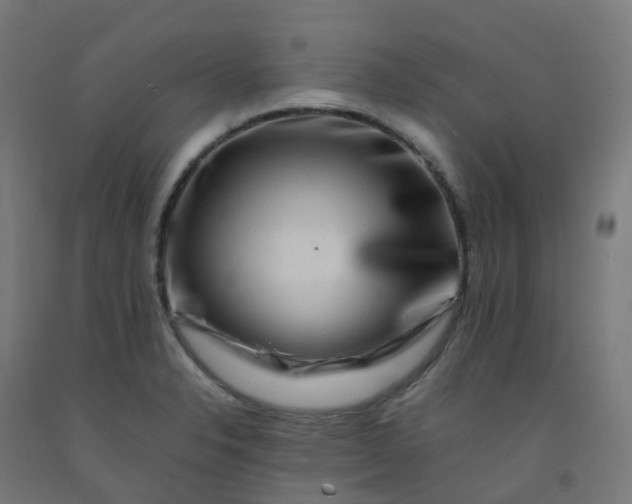 X0000092271326200709281216