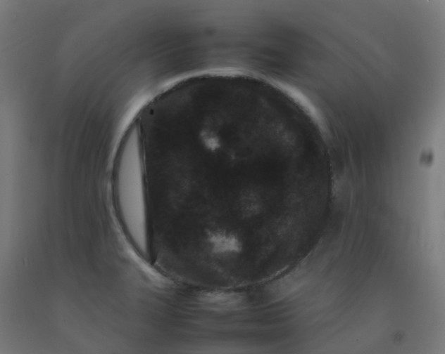 X0000092271327200709281216