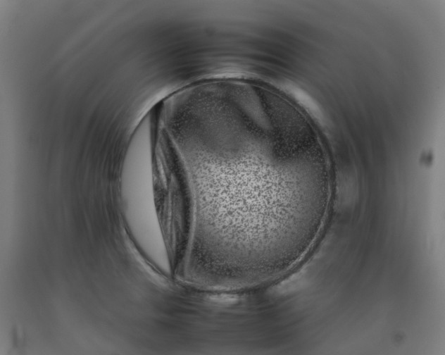 X0000092271329200709281216