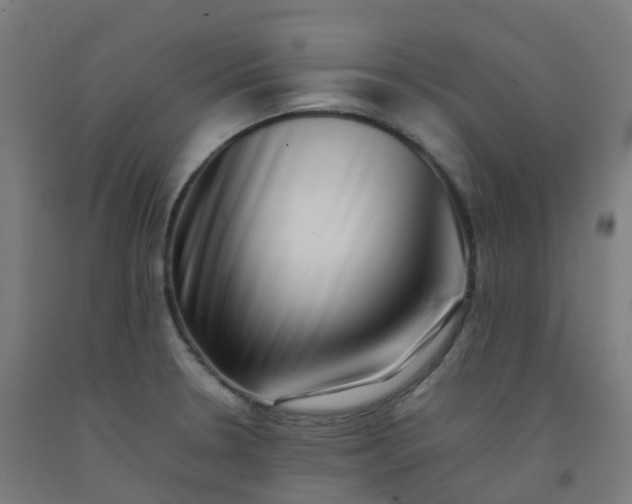 X0000092271330200709281216