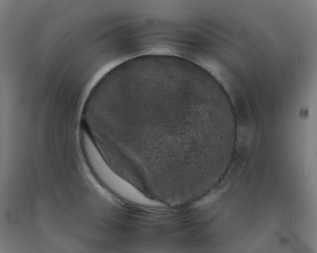 X0000092271331200709281216
