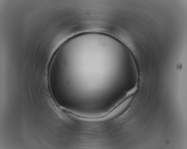 X0000092271332200709281216