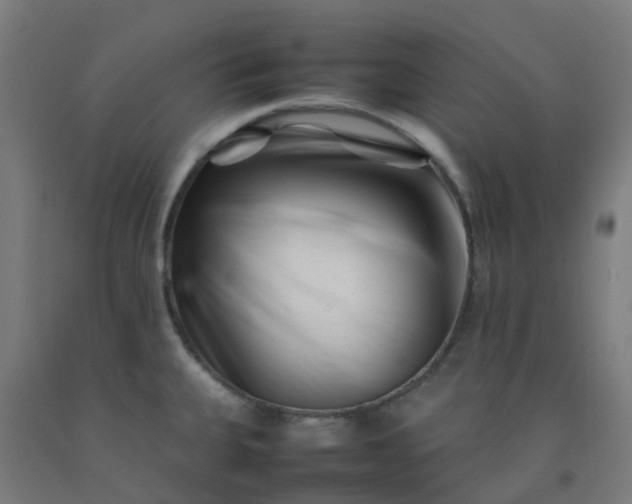 X0000092271335200709281216