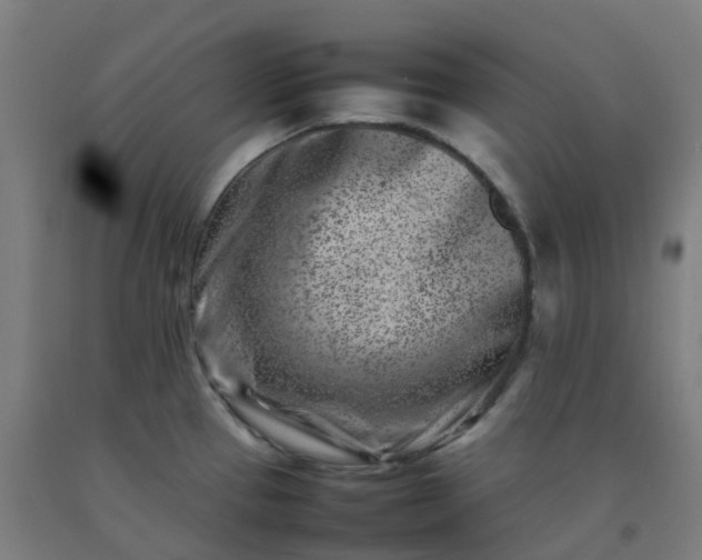 X0000092271337200709281216