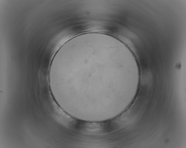 X0000092271338200709281216