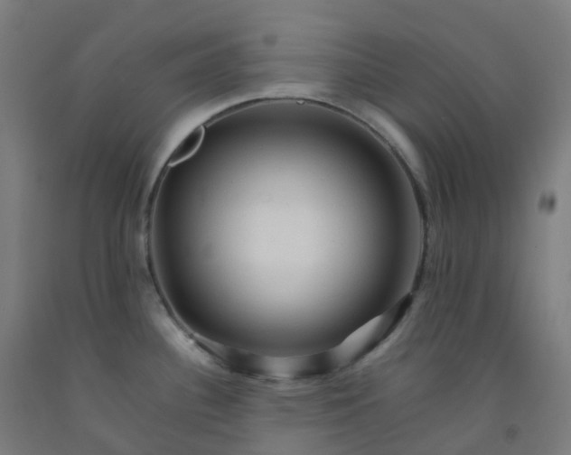 X0000092271340200709281216