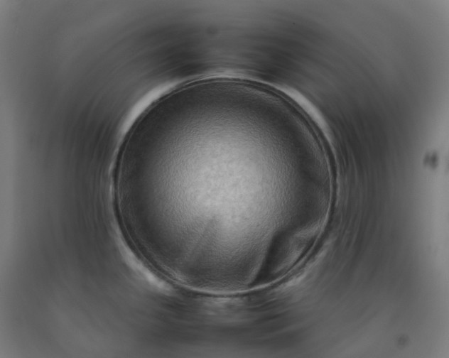 X0000092271341200709281216