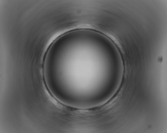 X0000092271342200709281216