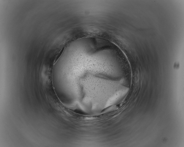 X0000092271346200709281216