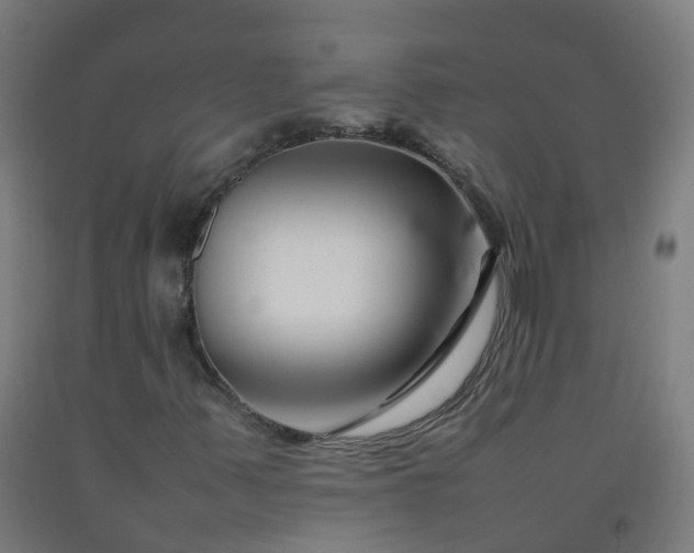 X0000092271347200709281216