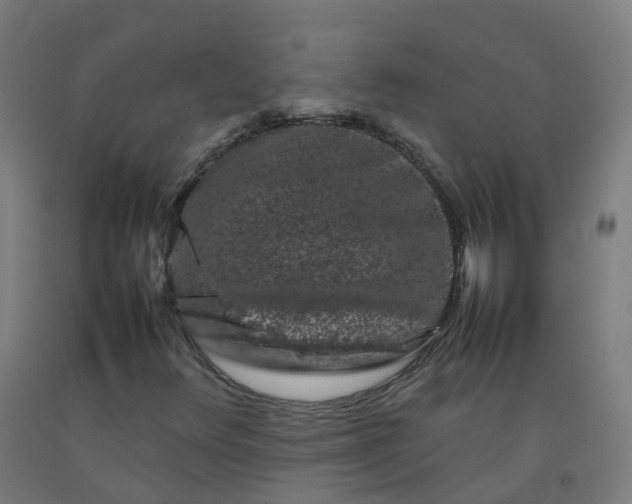 X0000092271348200709281216