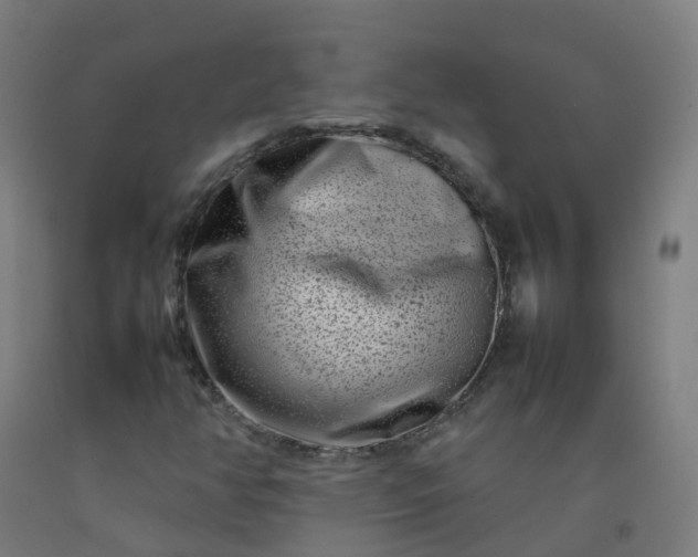 X0000092271350200709281216