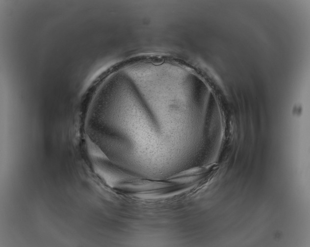 X0000092271352200709281216