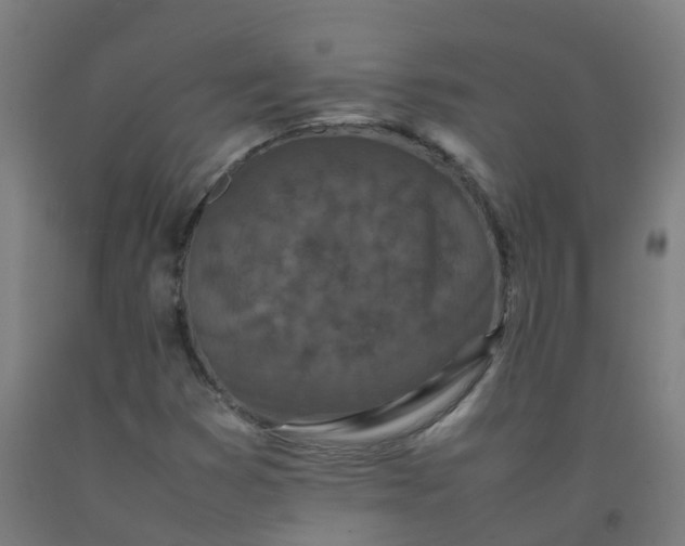 X0000092271353200709281216