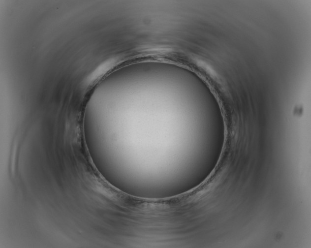 X0000092271354200709281215