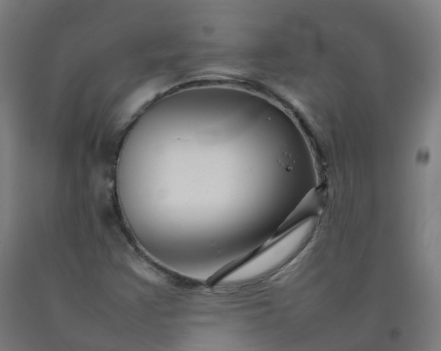 X0000092271355200709281215