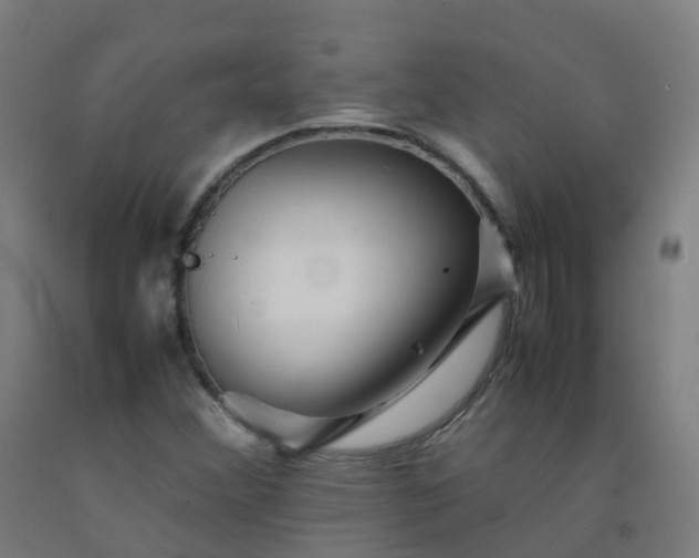 X0000092271356200709281215