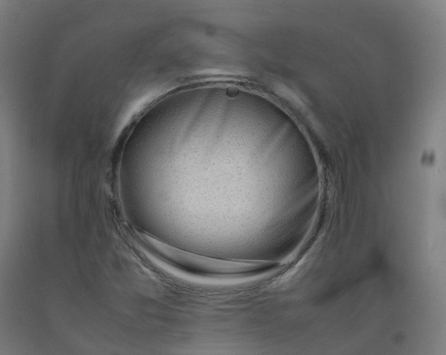 X0000092271357200709281215