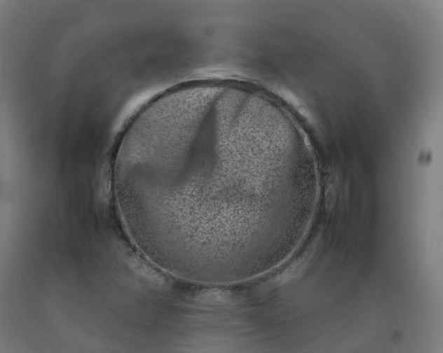 X0000092271358200709281215