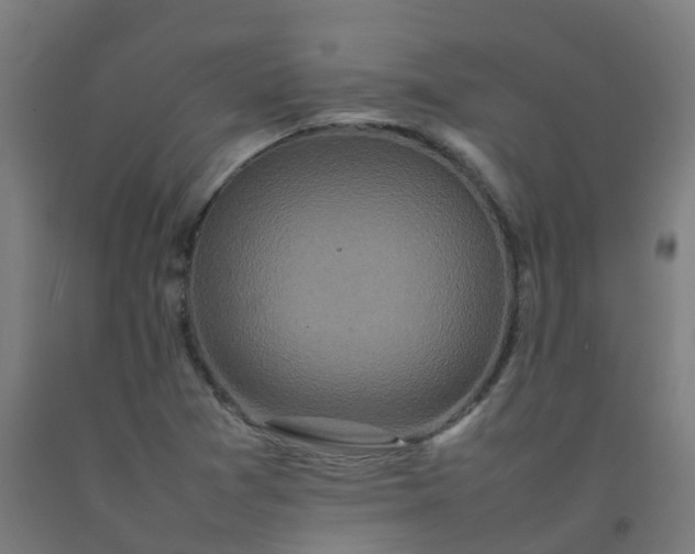 X0000092271361200709281215