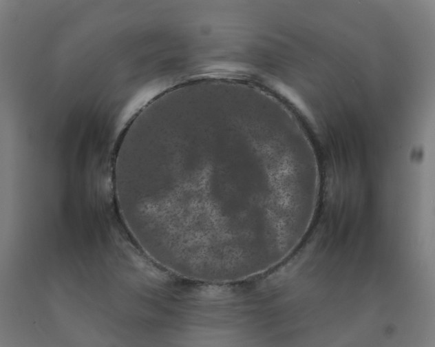 X0000092271362200709281215