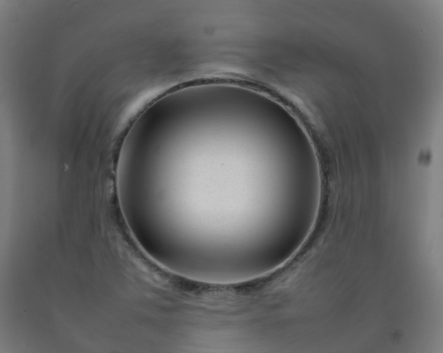 X0000092271363200709281215