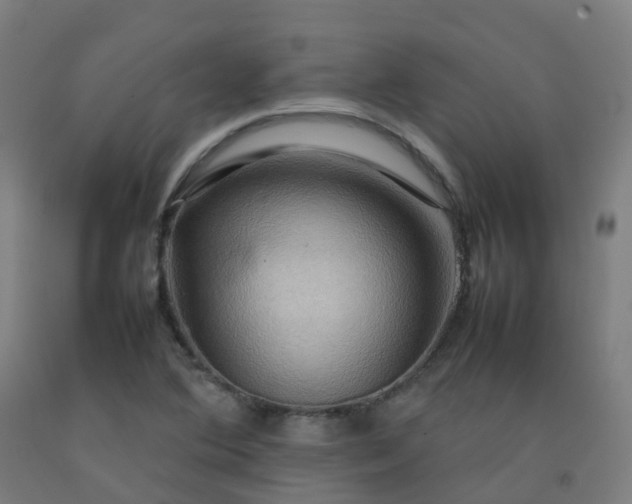 X0000092271364200709281215