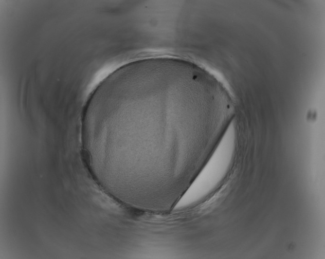 X0000092271365200709281215