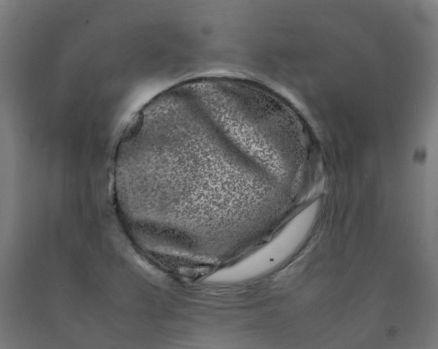 X0000092271367200709281215