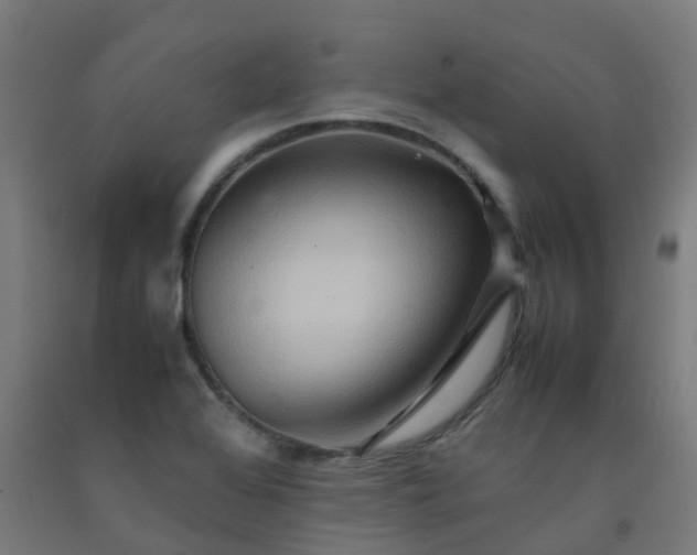 X0000092271368200709281215