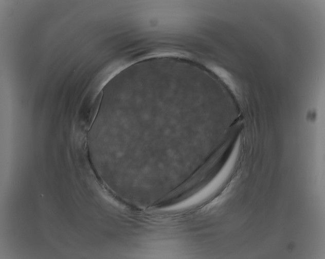 X0000092271369200709281215