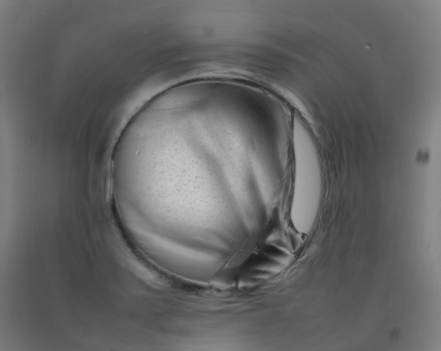 X0000092271371200709281215