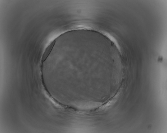 X0000092271373200709281215