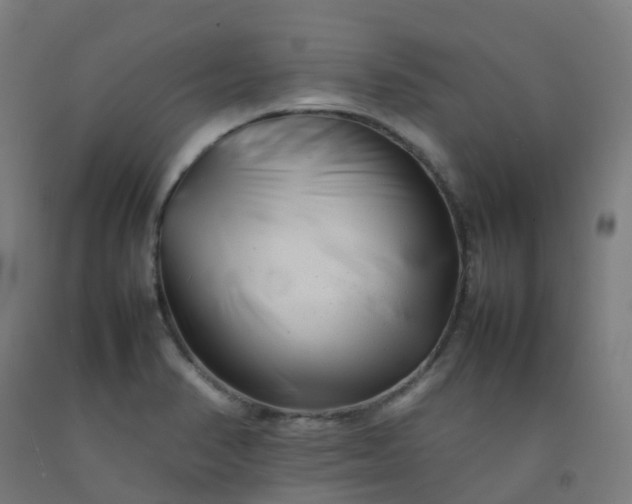 X0000092271374200709281215